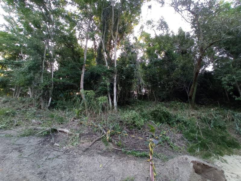 Terreno à venda, 200m² - Foto 2